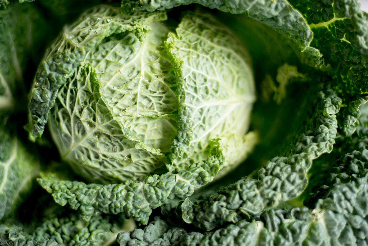close up on a head of cabbage