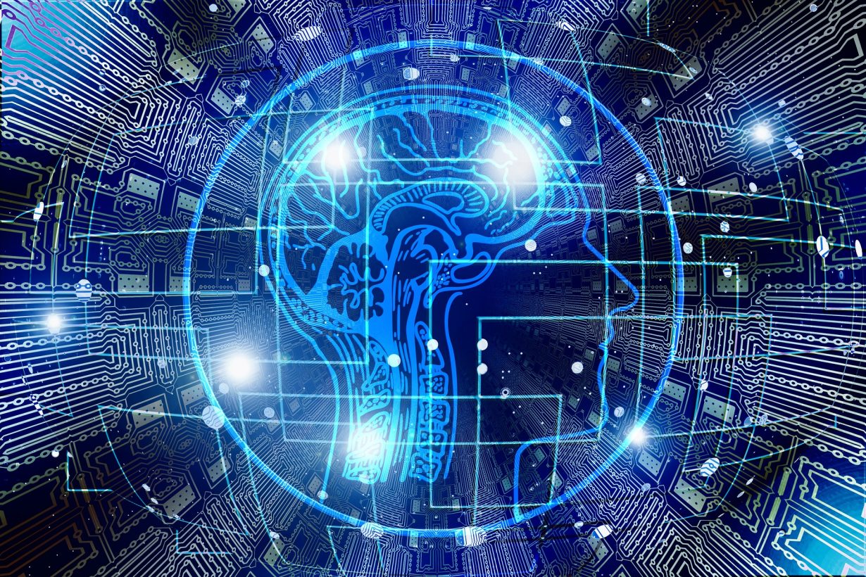 Digital image of human head and brain