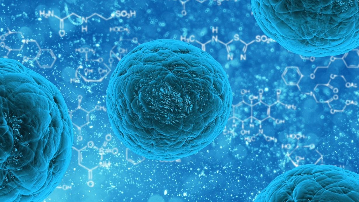 close up of a blue cell with blue background
