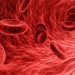 blood cells in blood vessels