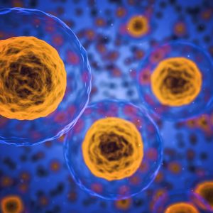 yellow cells against a blue background
