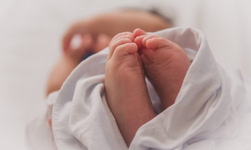 close up of a newborn baby's feet