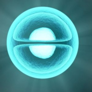 close up of a single cell colored blue