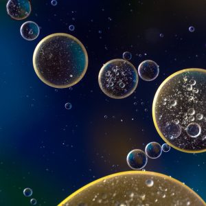 oil bubbles in water