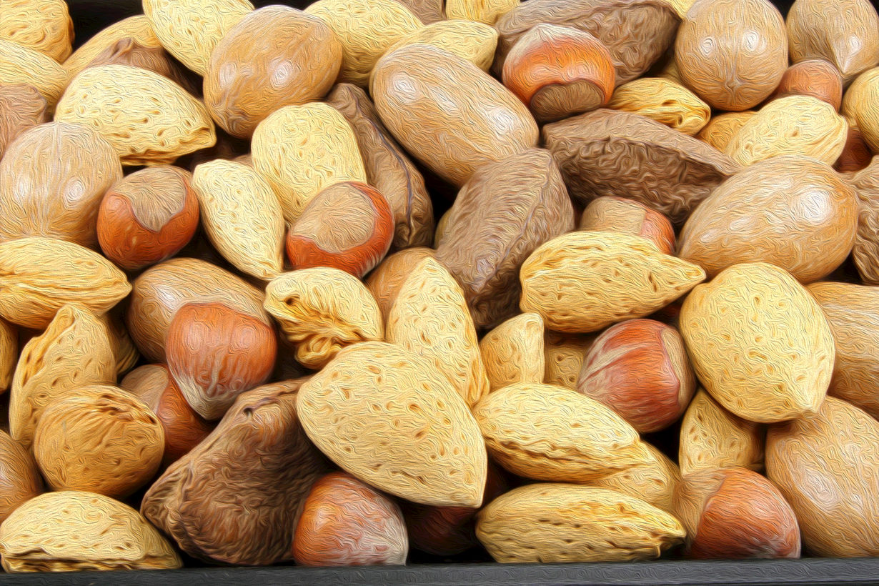 close up of various tree nuts