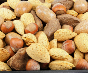 close up of various tree nuts