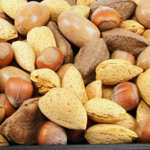 close up of various tree nuts