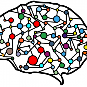 illustration of a brain and neural networks