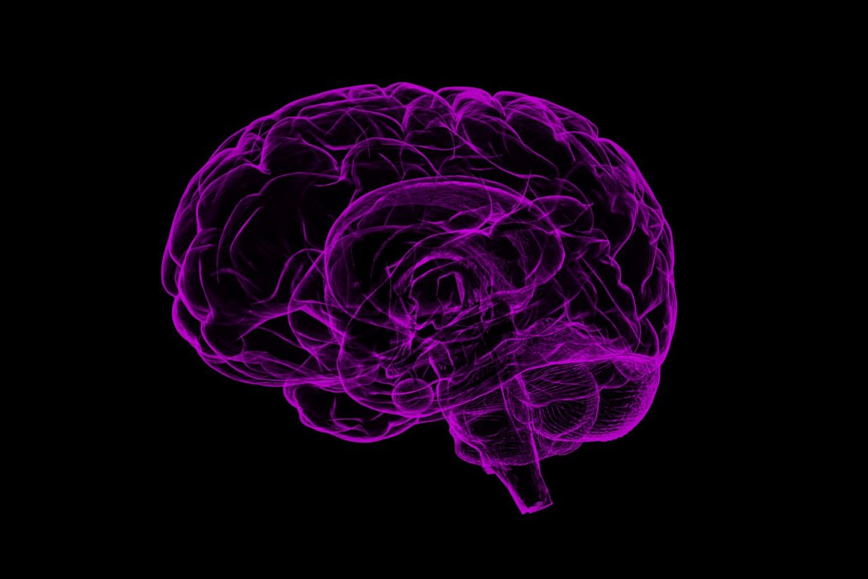 brain highlighted purple on black background