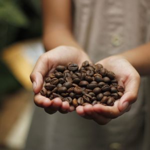 close up of a child's hands holding coffee beans