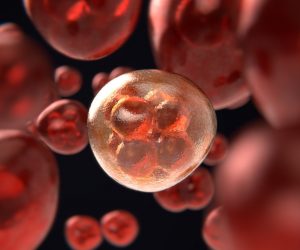 digital illustration of blood cells