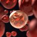 digital illustration of blood cells