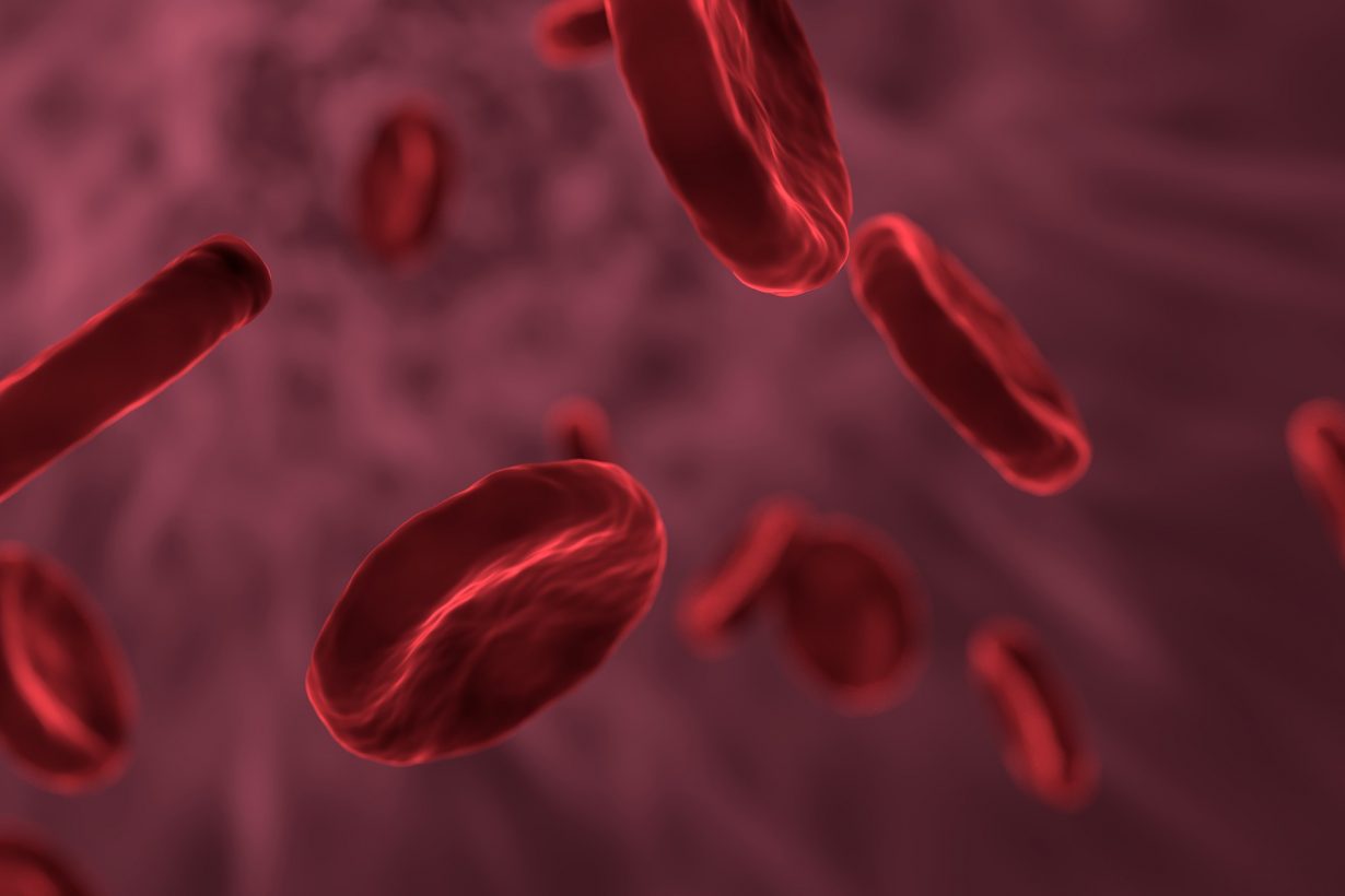 illustration of blood cells