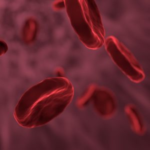 illustration of blood cells