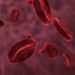 illustration of blood cells