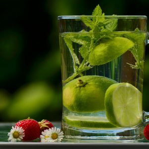 clear liquid in a mug with lime slices and mint