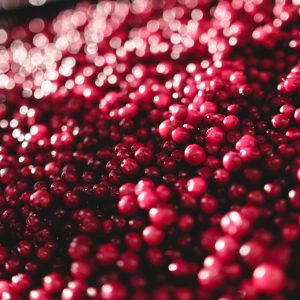 close up of a bunch of red lingonberries