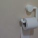 toilet paper on a toilet paper holder