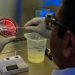 lab scientist holding a petri dish