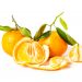 oranges slices and oranges