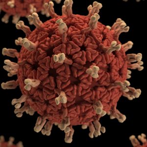 Coronavirus molecule