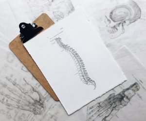 drawn pictures of a human spine and bones