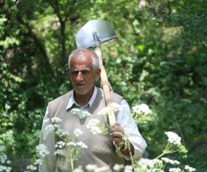 man carrying shovel through a garden