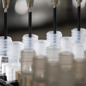 rows of test tubes being filled