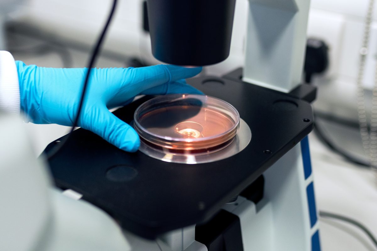person holding a petri dish under a microscope