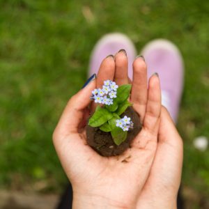 person holding soil with a flower in it