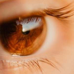 close up of a brown eye