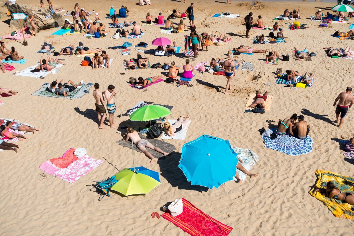people sunbathing on beach