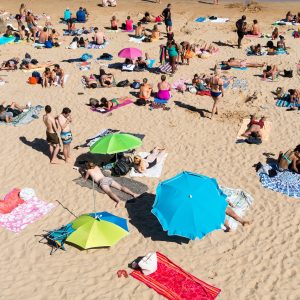 people sunbathing on beach