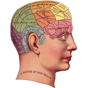vintage brain head picture