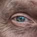 older person's eye