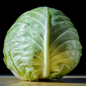 head of cabbage