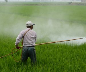 spraying crops with pesticide