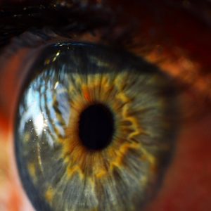 close up of a human eye