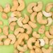 cashew nuts on a green background