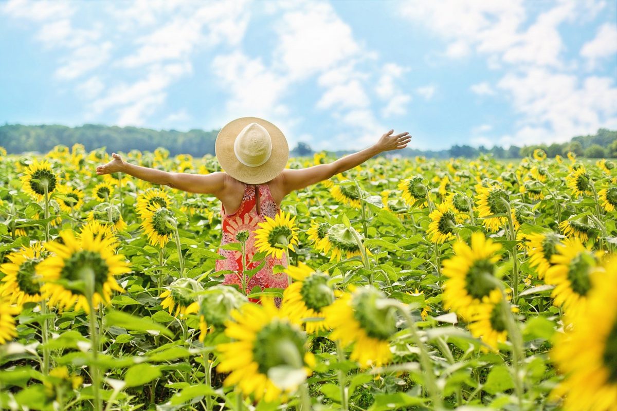 woman standing with outstretched arms in a sunflower field