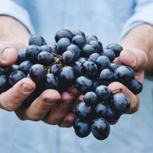 man holding a bunch of grapes in his hands