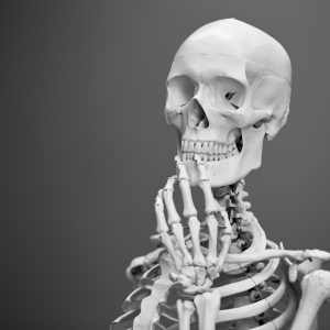 model of a skeleton