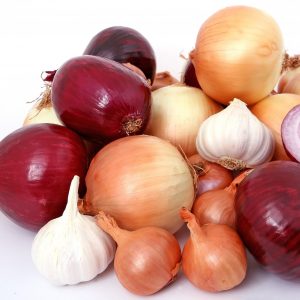 pile of various onions against a white backdrop