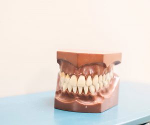 model teeth on a counter
