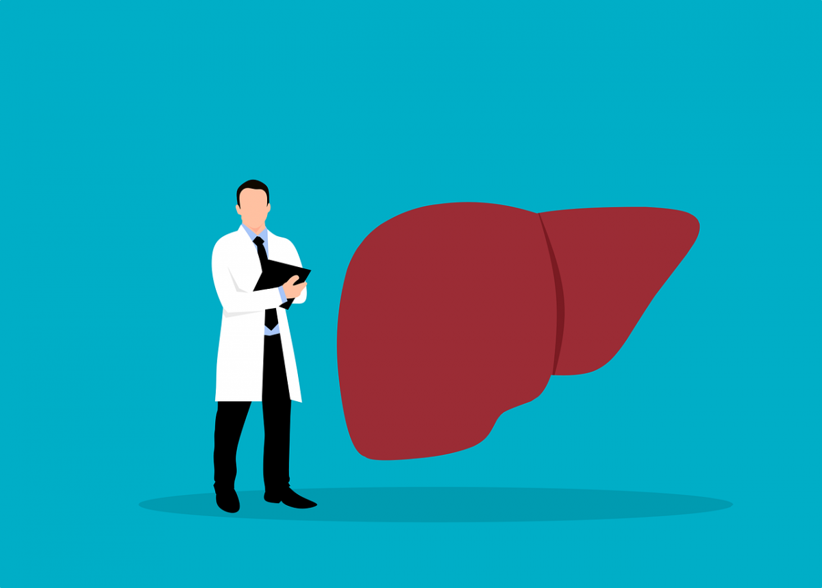 cell responsible for repairing damaged liver tissue has been uncovered