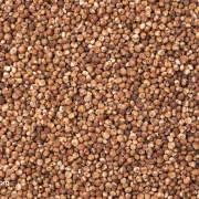 NutritionFacts Sorghum