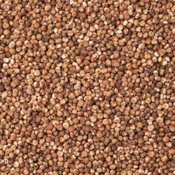 NutritionFacts Sorghum
